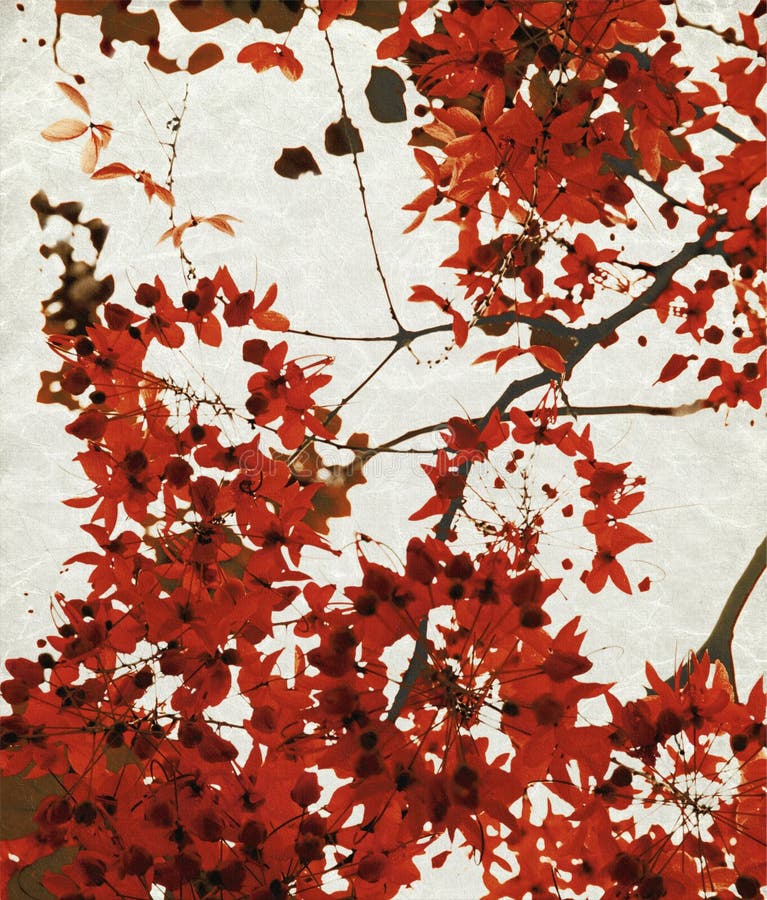 Red blossom print on chalky paper