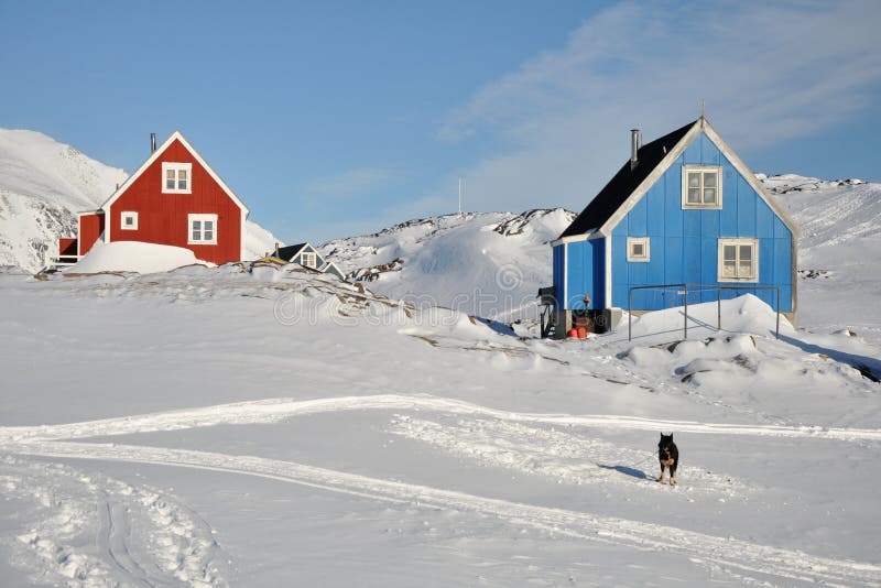 Red and blue cabins and dog in winter, Greenland royalty free stock photo