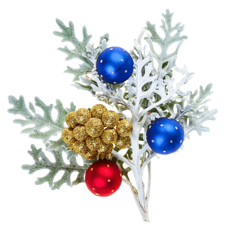 Red and Blue Christmas Balls on Branch Stock Image Image of christmas