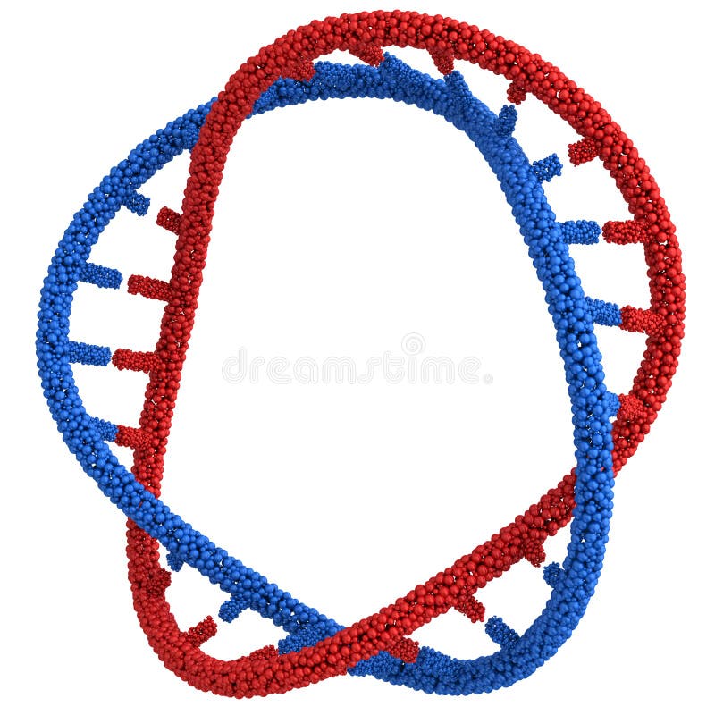 Red and Blue DNA molecule in a circle close-up