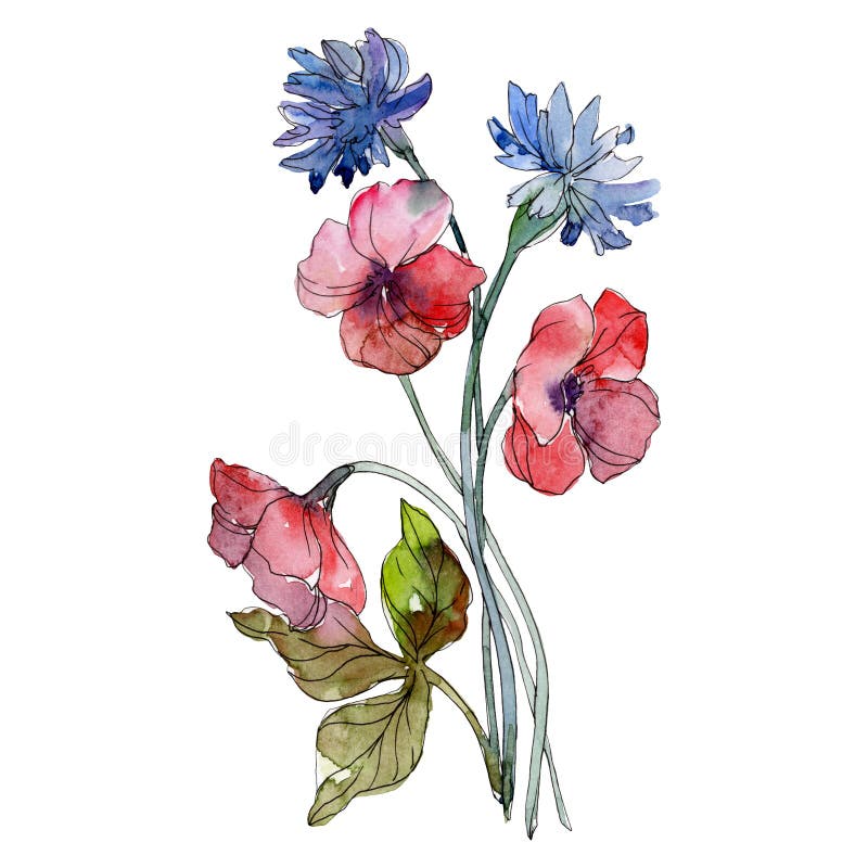 Red and Blue Floral Botanical Flowers. Watercolor Background ...