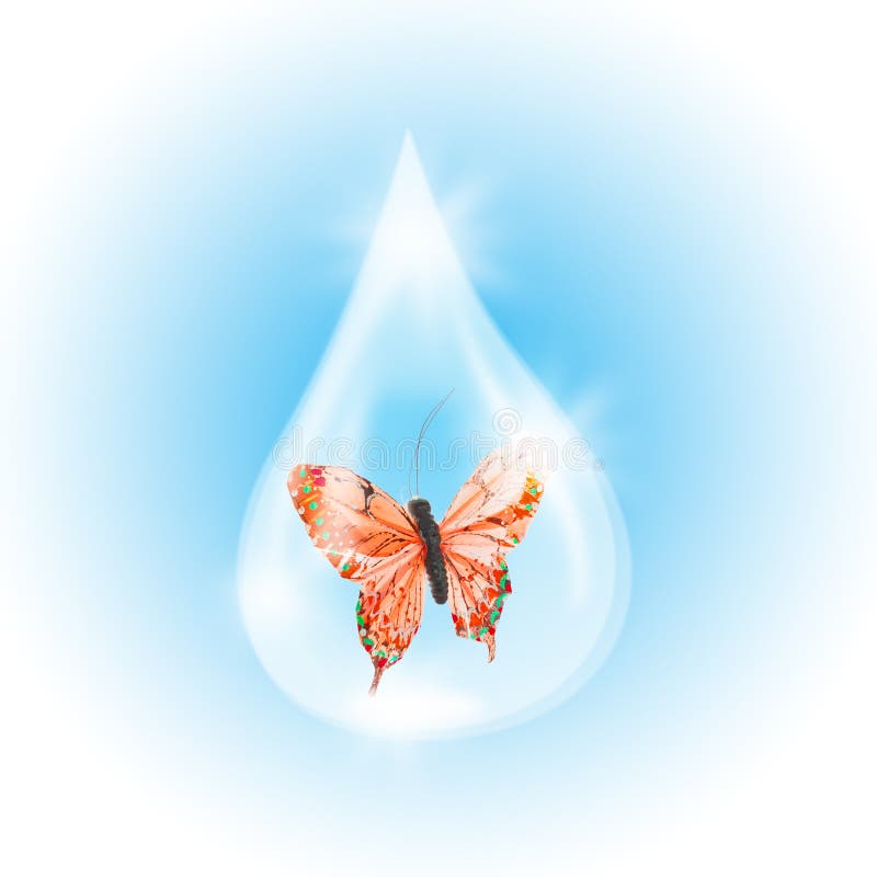Red Butterfly in a drop of water