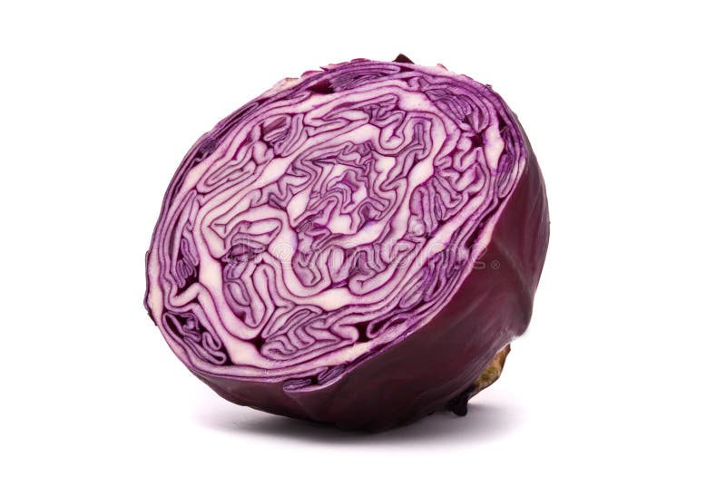 93,997 Red Cabbage Photos - Free & Royalty-Free Stock Photos from Dreamstime