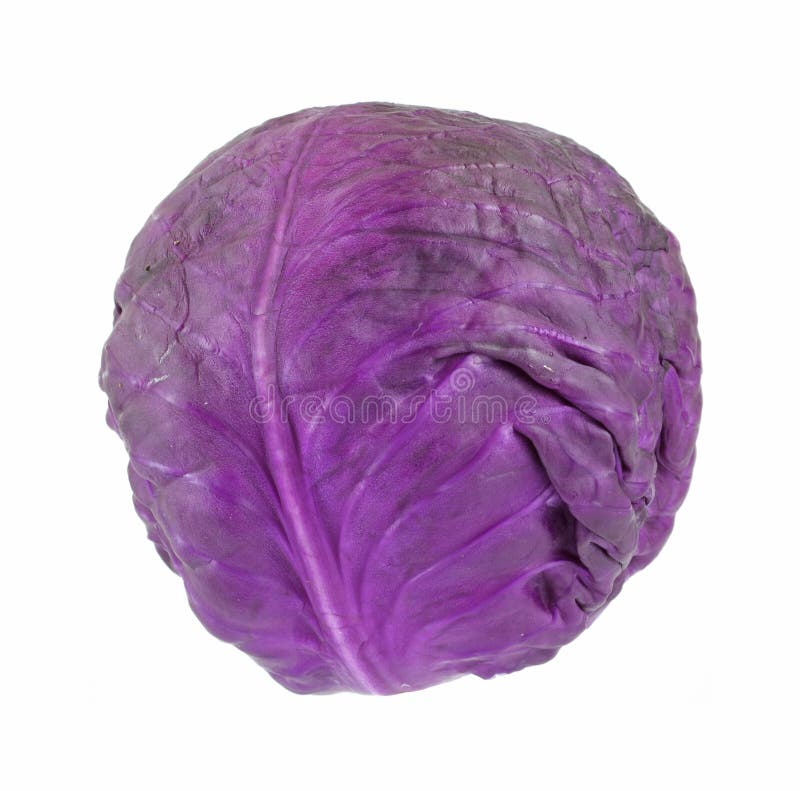 A fresh red cabbage a white background.