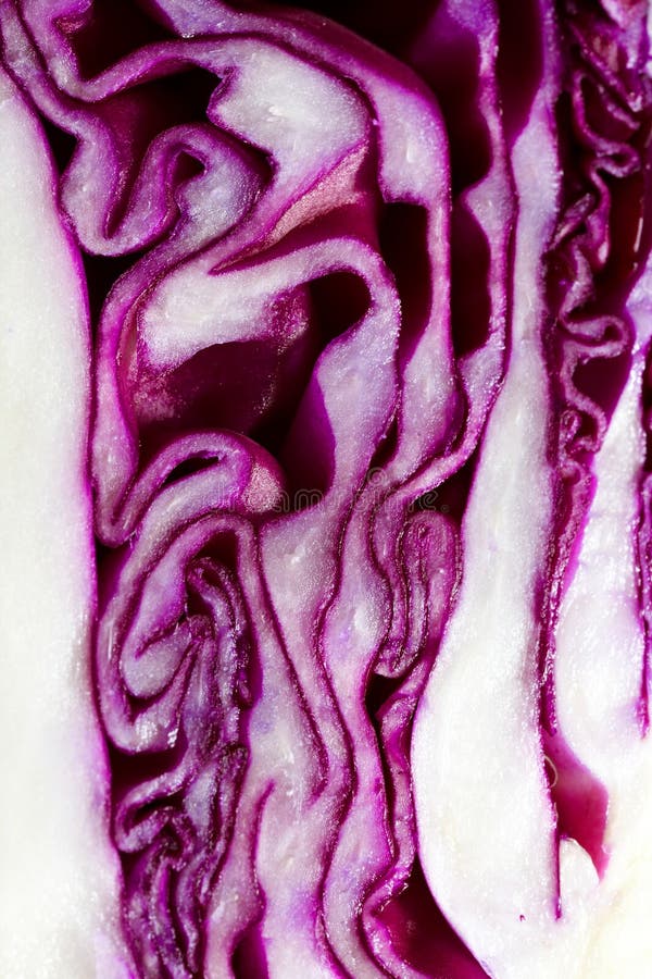 Red Cabbage macro stock photo. Image of health, background 29417148