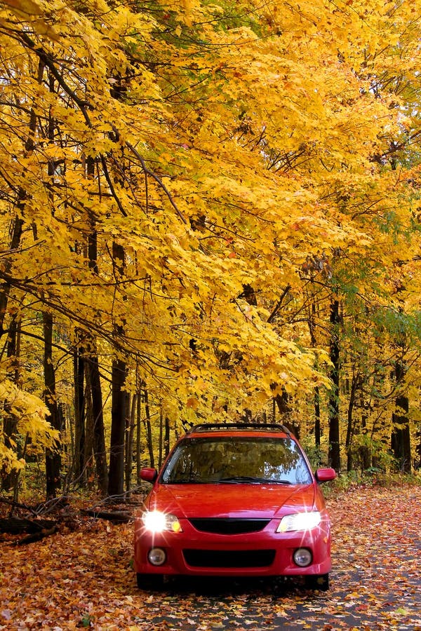 Red car in park stock photo. Image of seasons, yellow 10818264