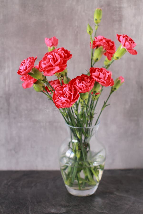 Carnations in vase stock image. Image of flowers, vase 64937929