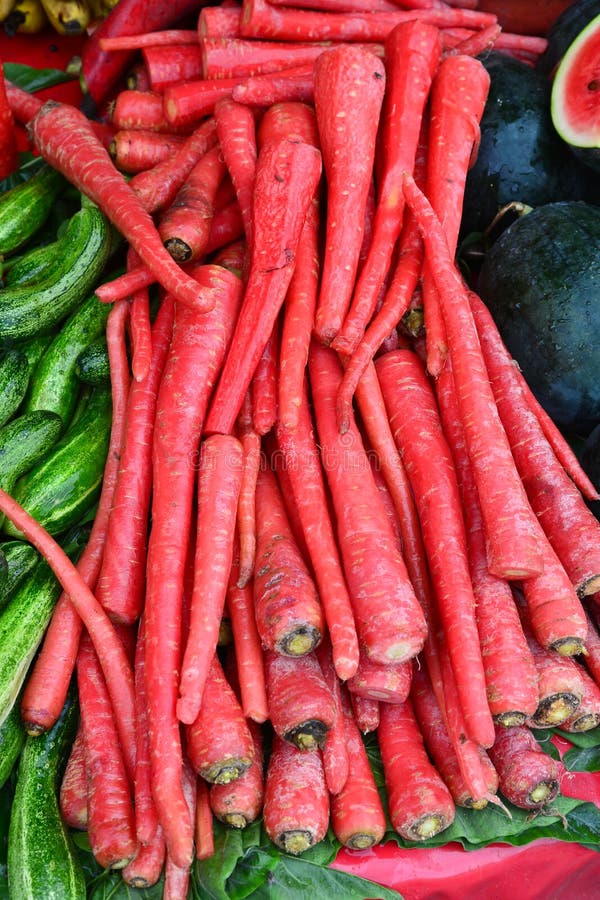 Indian VegetableRed Carrots Stock Photo Image of market, nutrient