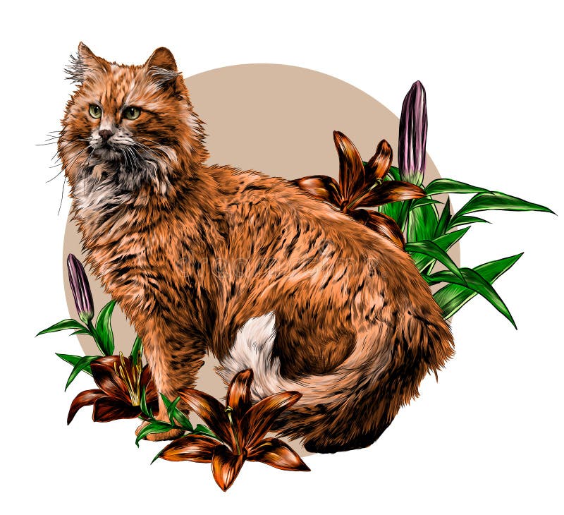 Red cat stands tall with his tail between his legs round composition decorated with Lily flowers royalty free illustration