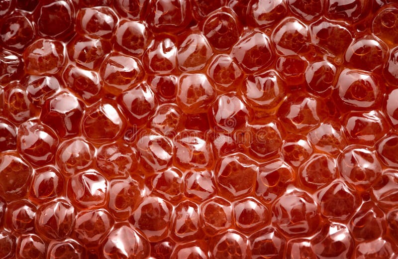 Red caviar stock photo. Image of orange, culture, cuisine 13015460