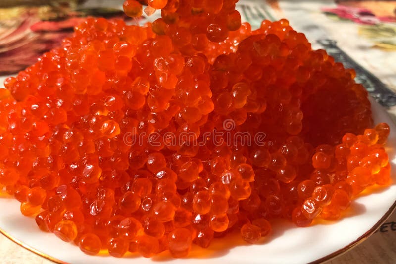 Red Caviar on Plate on the Table. Salmon Caviar. Dietary Nutriti Stock
