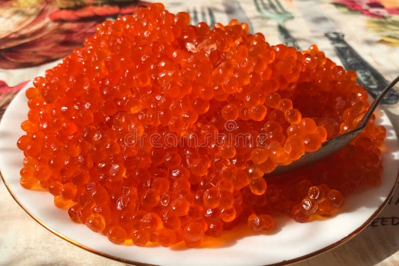 Red Caviar on Plate on the Table. Salmon Caviar. Dietary Nutriti Stock Photo Image of snack