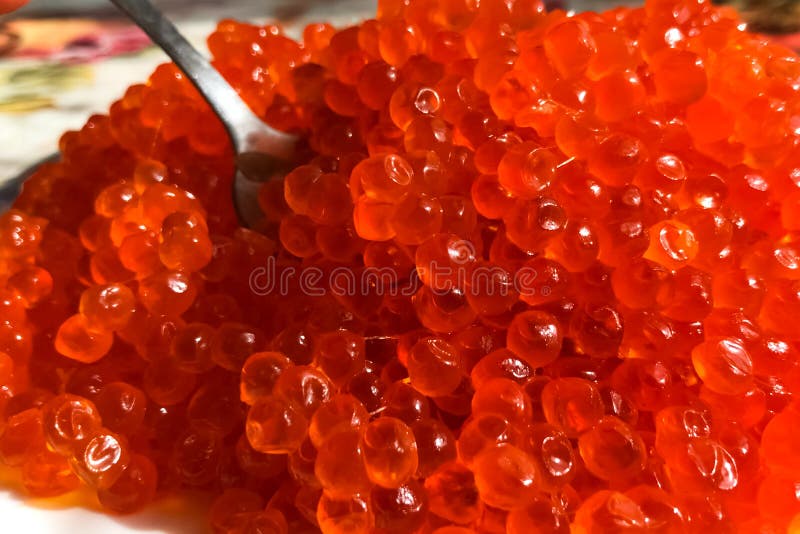 Red Caviar on Plate on the Table. Salmon Caviar. Dietary Nutriti Stock