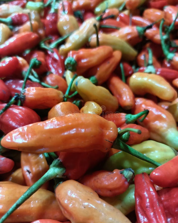 Red Cayenne Pepper at the Beautiful Cut Market, Bandung Stock Image