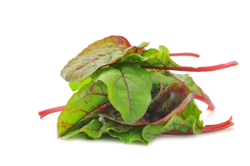 Red Chard salad leaves stock image. Image of garden, mangold 9397103