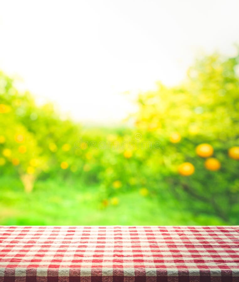 Red checkered tablecloth texture top view witht orange garden royalty free stock photography Red checkered tablecloth texture top view witht orange garden royalty free stock photography