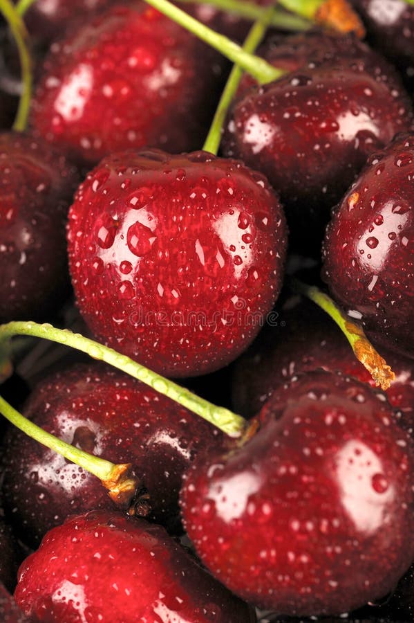 Red Cherries