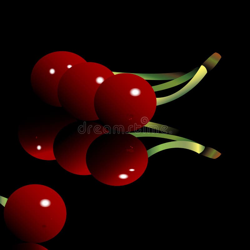 Red Cherries On Black Background Stock Vector Illustration of shiny