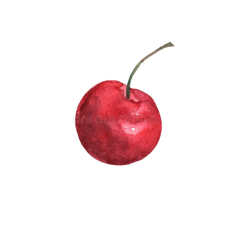 Red cherries isolated in watercolors on a white background. Bright sweet color. Sweet fruit. Vector