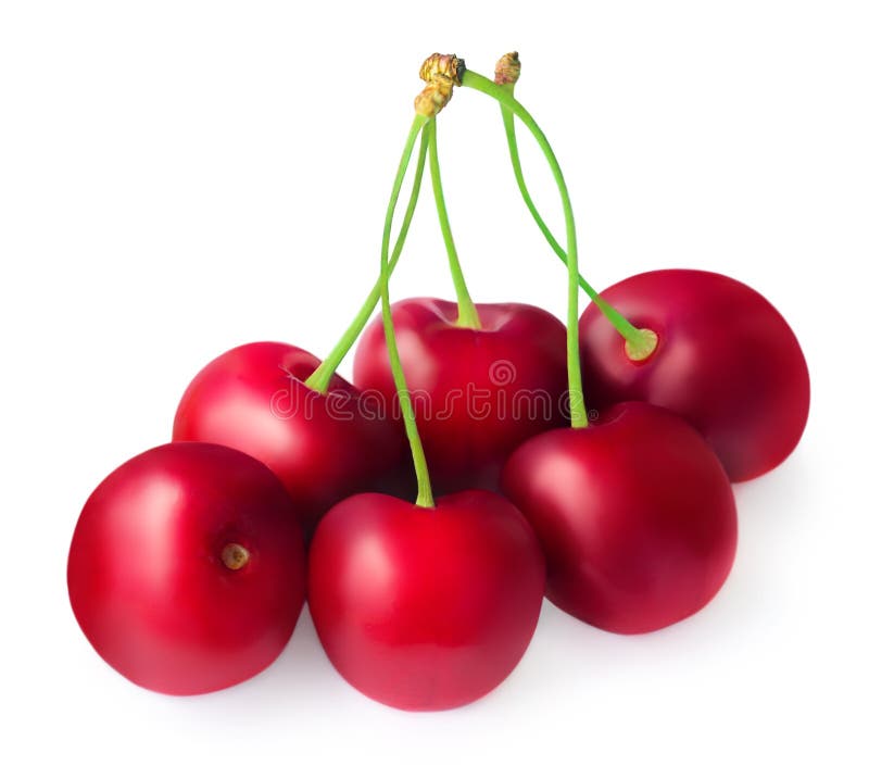 Red Cherry Berries Isolated on White Background. Fresh Cherry Closeup