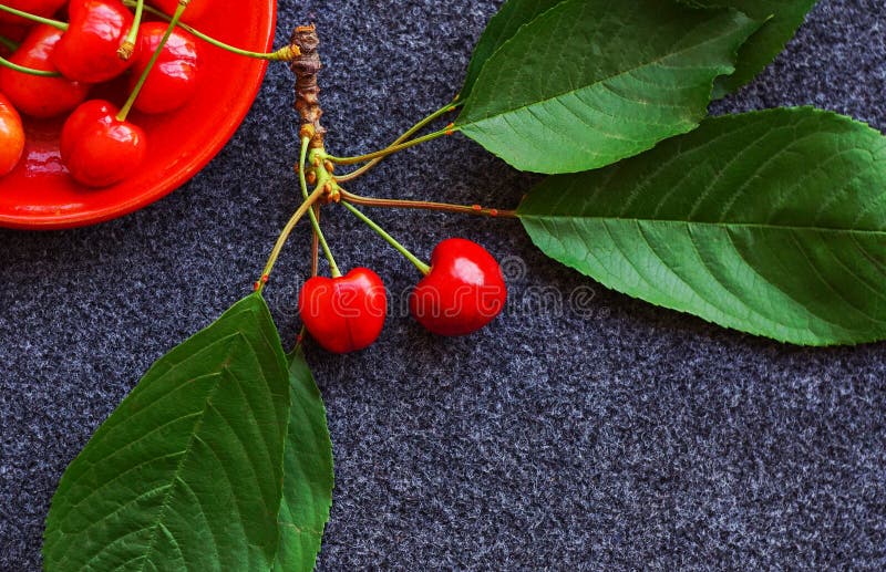 Red cherry fruit stock photo. Image of nature, tasty 250171112