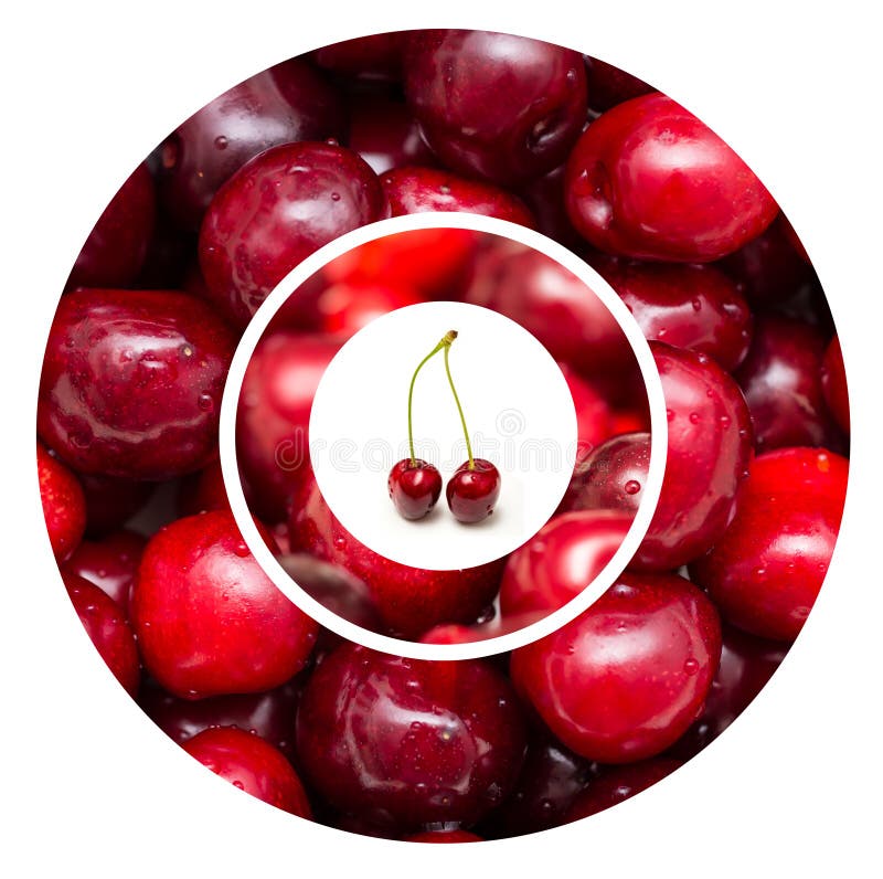 Red Cherry Fruits stock photo. Image of summer, isolated 33378370