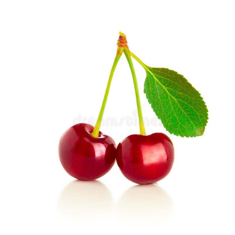 Red Cherry with Green Leaves on a White Stock Image - Image of fruit ...