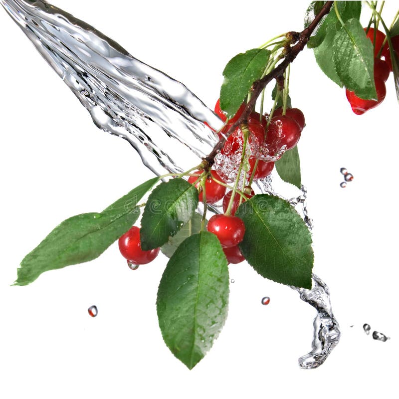 Red cherry with leaves and water splash