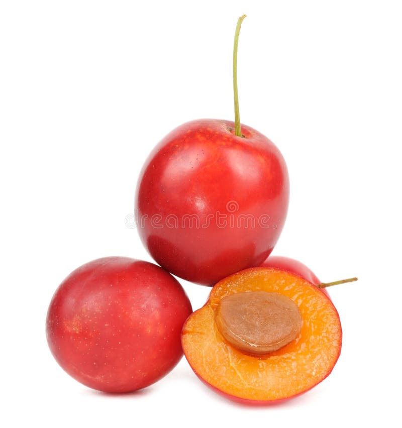 Red Cherry Plums Isolated on White Background