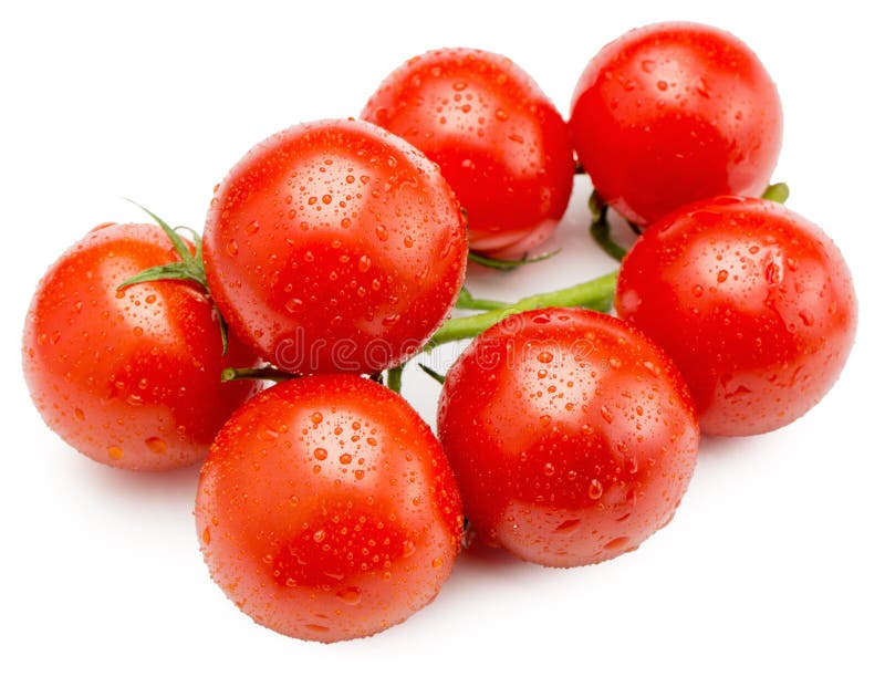 Red Cherry Tomatoes Isolated on the White Background Stock Image