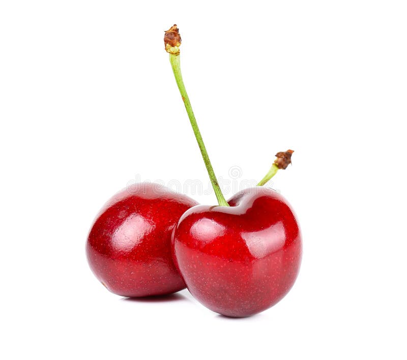 Red Cherry on the White Background Stock Photo - Image of sour ...