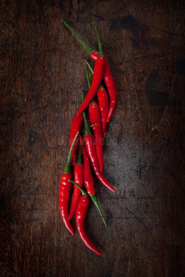 Red chili royalty free stock photography Red chili royalty free stock photography