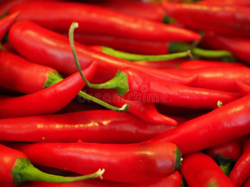 Red Chili Pepper Picture. Image 82964295