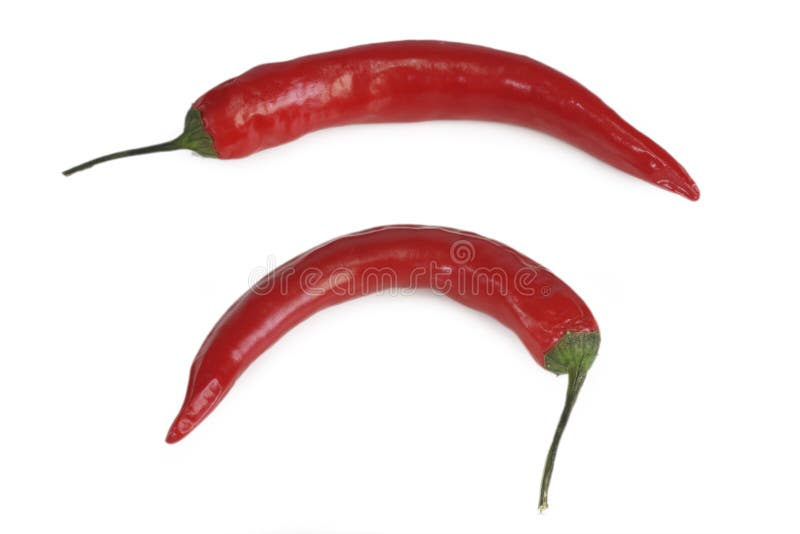 Red chili pepper