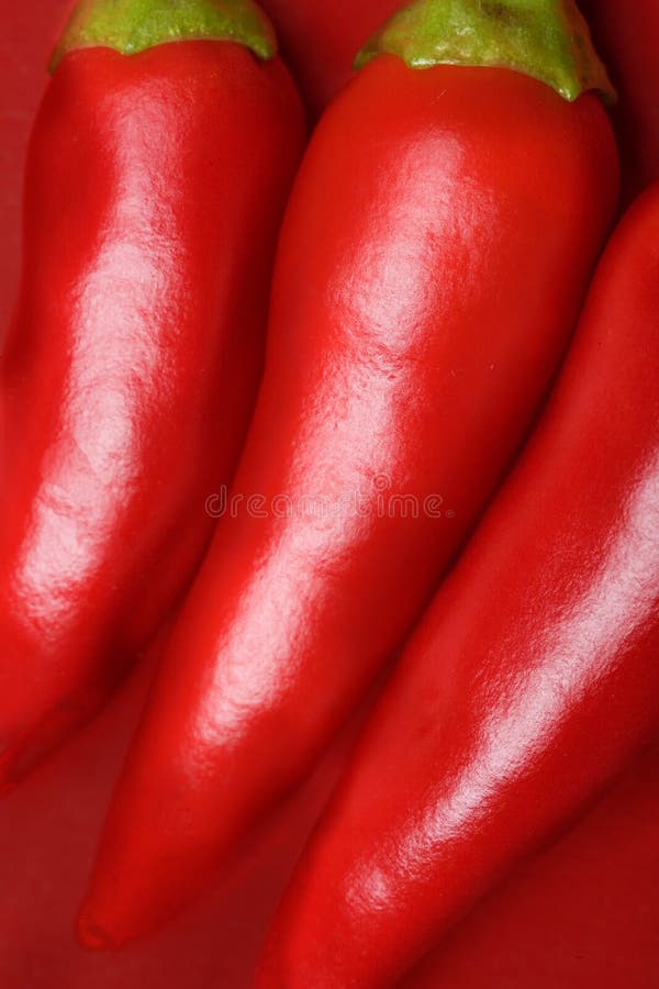 Red Chili Pepper Background Stock Image Image of flavoring, shine 2617001