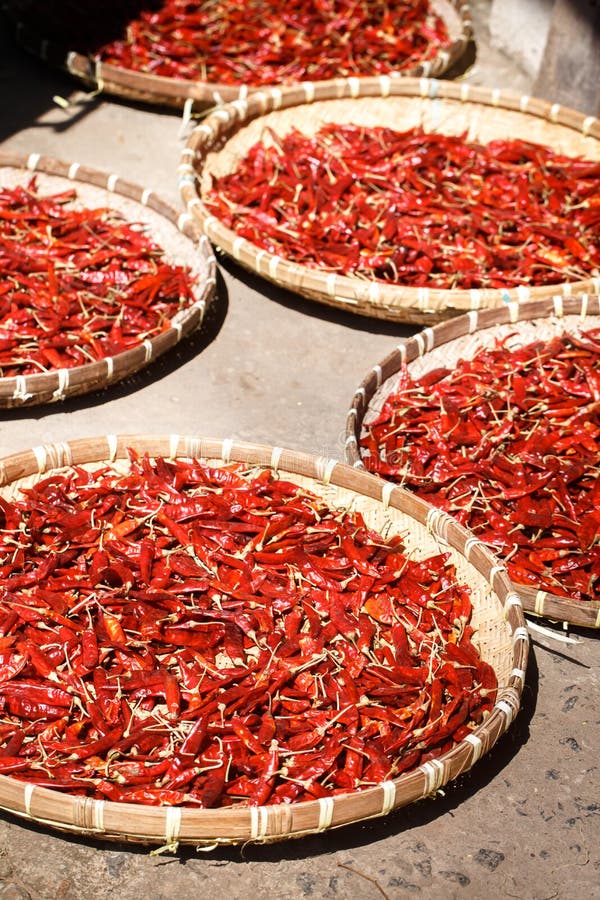 Red Chili Pepper is Dried in Wicker Baskets Stock Image Image of