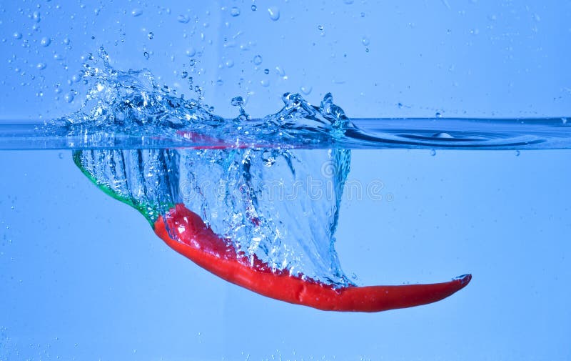 Red Chili Pepper Dropped into Water with Splash Stock Photo Image of cool, white 22950616