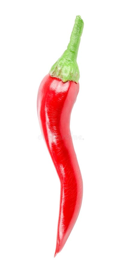 Red chili pepper isolated on a white background no shadow