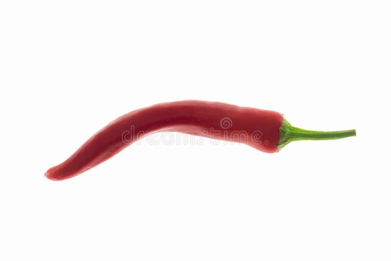 Red chili pepper spicy curved fresh. Pod of papper seasoning asia on isolated white background