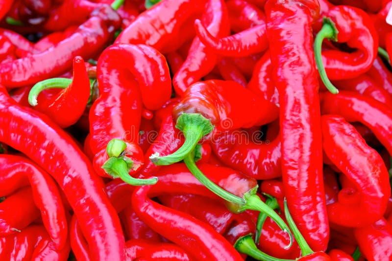 Red chili peppers stock photo. Image of green, food, peppers 3525482