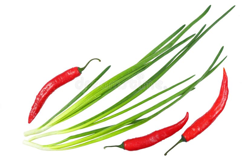 Red chili peppers and green onions with water drops isolated on white background