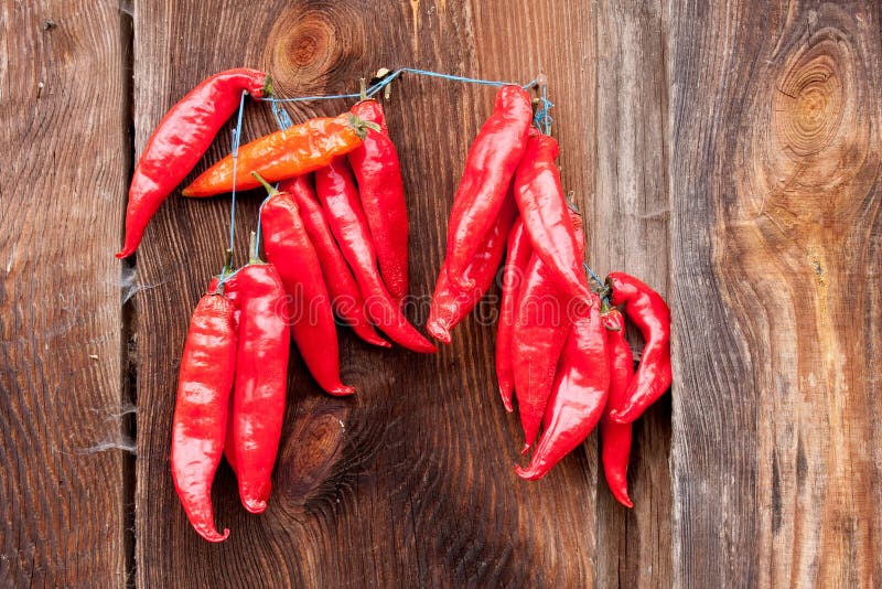 Red Chili Peppers hanging stock image. Image of food 16858307