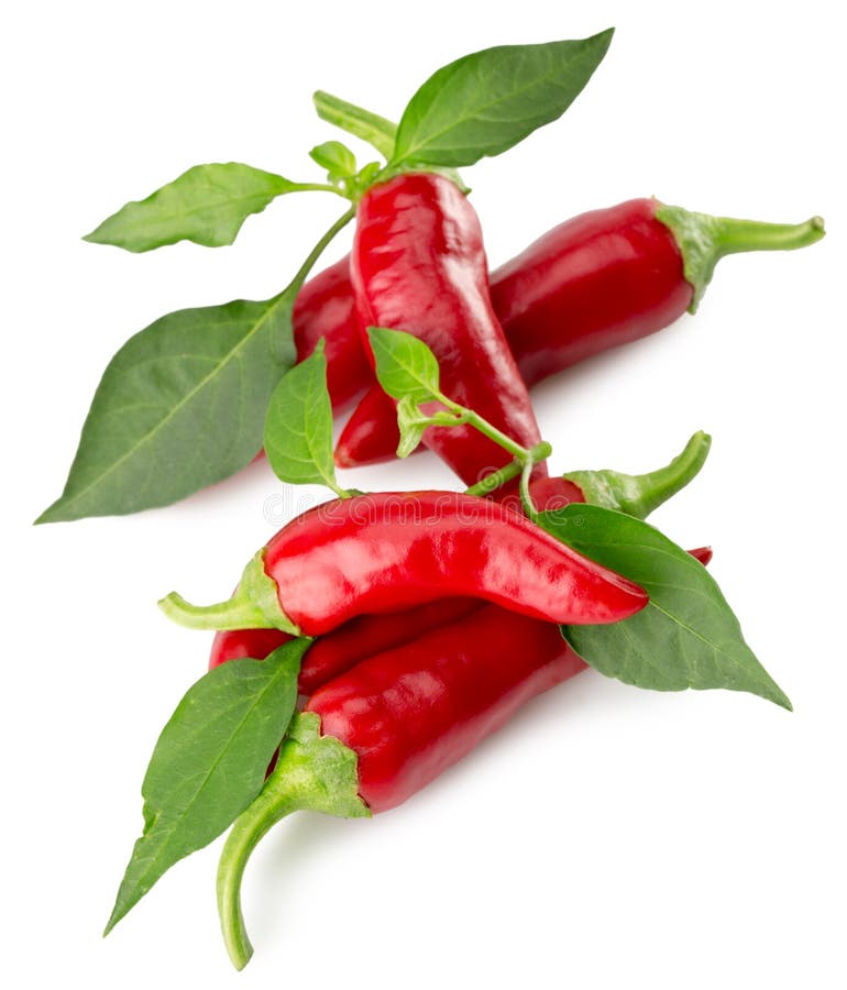 Red chili peppers isolated on the white background.