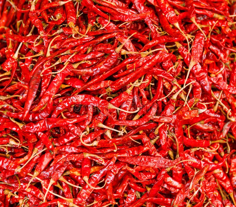 Red Chili peppers stock image. Image of thailand, green 33182777
