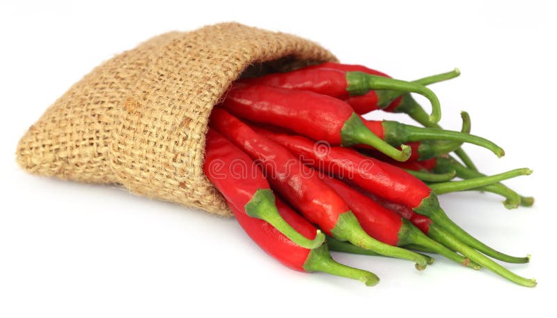 Red chili peppers in a sack bag