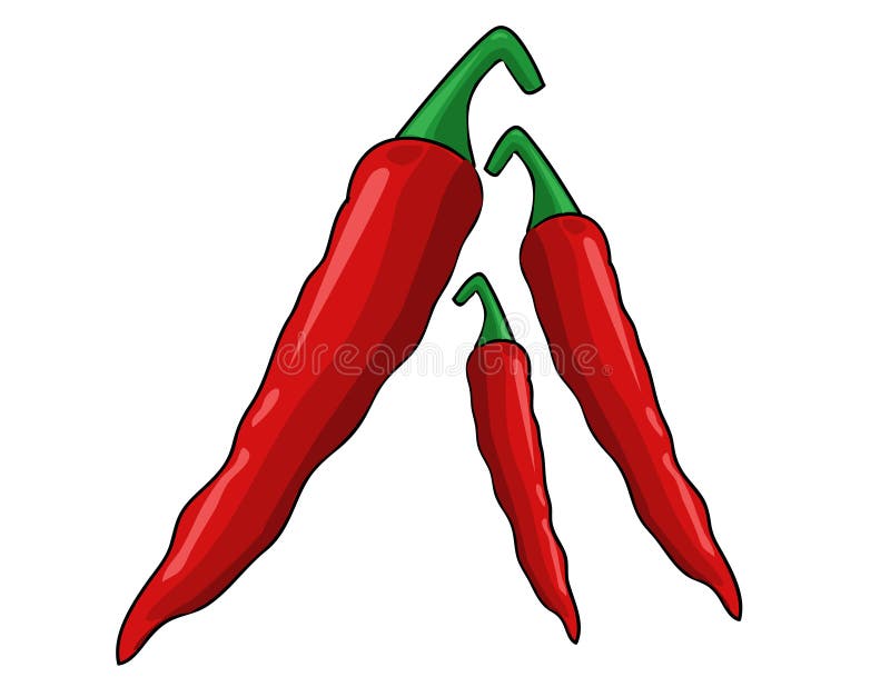 Red chili peppers vector
