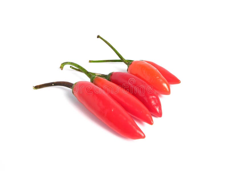 Red chilies on line