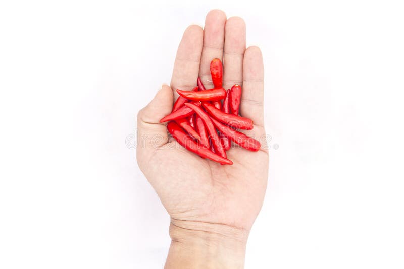 chilli red jordan