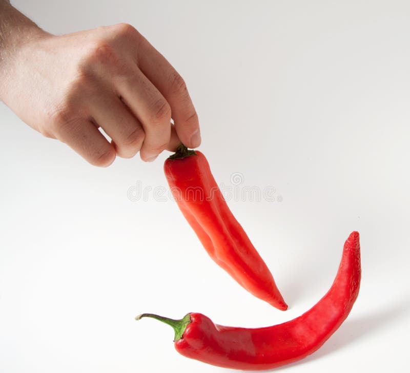 Red Chilli Hot Peppers Hand Fingers Stock Image Image of metaphor