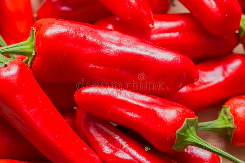Red Chilli Pepper Capsicum Annuum Stock Photo Image of glossy, chile